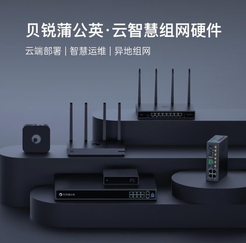 貝銳蒲公英異地組網路由器銷量再奪第一，領跑中國市場